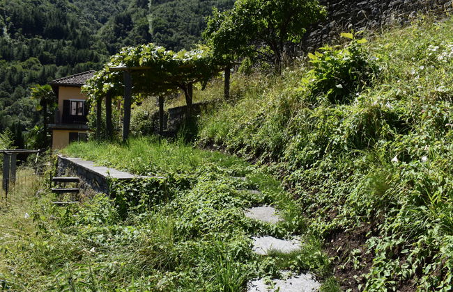 Capriccio 16 Pergola - Foto 5