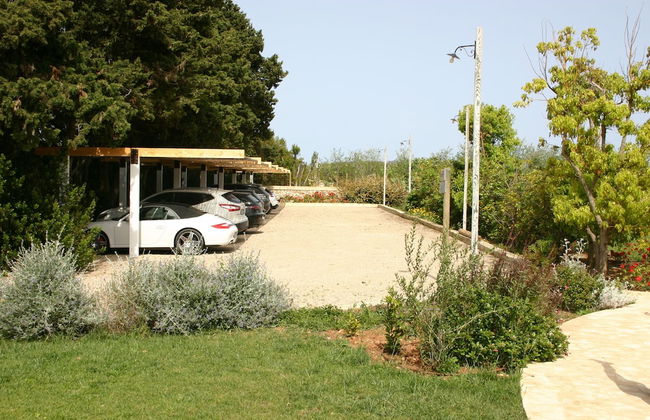 Tenuta Vigna Corallo - Foto 77