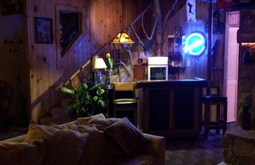 Secluded Cabin Rental near Letchworth State Park in Buffalo, Arcade, New York - Foto 2