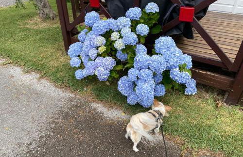 Cloud Nine - Foto 17