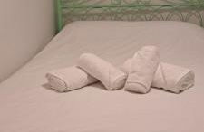 Ανεμώνη Αράχωβα - Foto 30