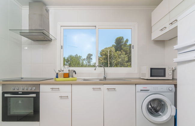 Es Pins in Es Carregador - Photo 33