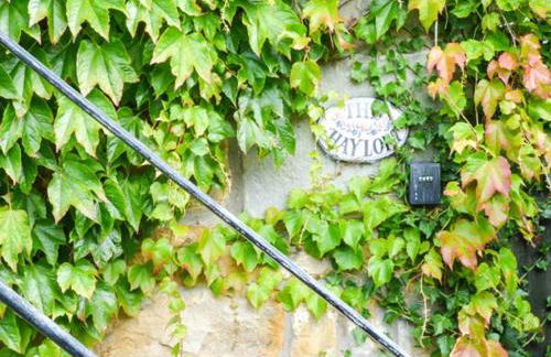 The Hayloft - Photo 14