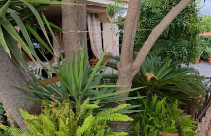 CASA DI ALICE A 250 METRI DAL MARE - Foto 30