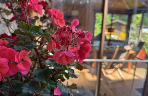 O et Terre, gite ressourcement bains spa cryo sauna et foret - Foto 4