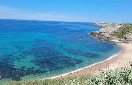 Casa do Portão Azul - Espadarte - Foto 60