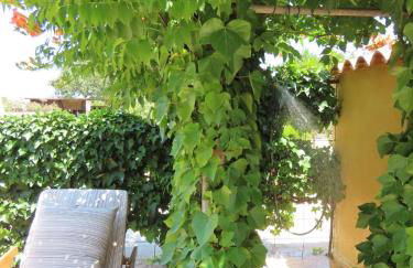 Can Mariano Mayans - Foto 7