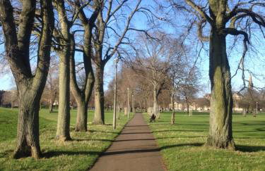 Cozy with Character Vibrant Cottage Style Flat at Leith Links Park - Foto 16