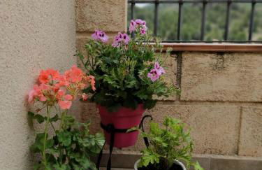 Casa Rural Ladrón de Semillas - Foto 26