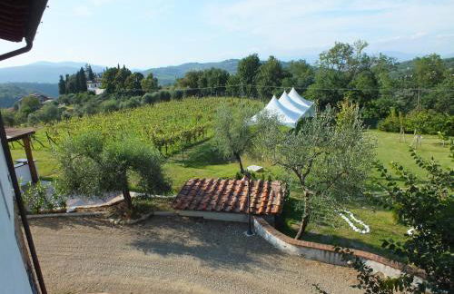 Agriturismo Ai Mandrioli - Foto 63