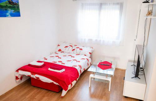 Dalmatian - Photo 23