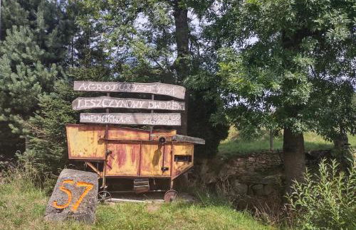 Agroturystyka Leszczynowy Dworek - Foto 17