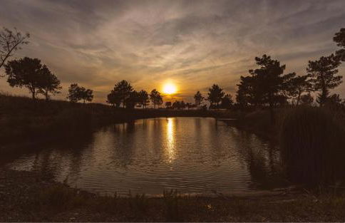 Borgo Le Colline Luxury Agriturismo in Tuscany - Foto 34