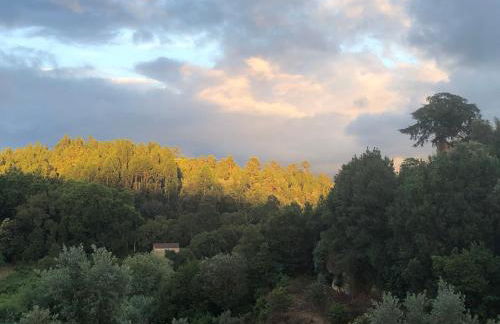 Casa do Moinho Rural Retreat - Foto 7