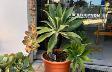 Villa Aurea - Foto 16