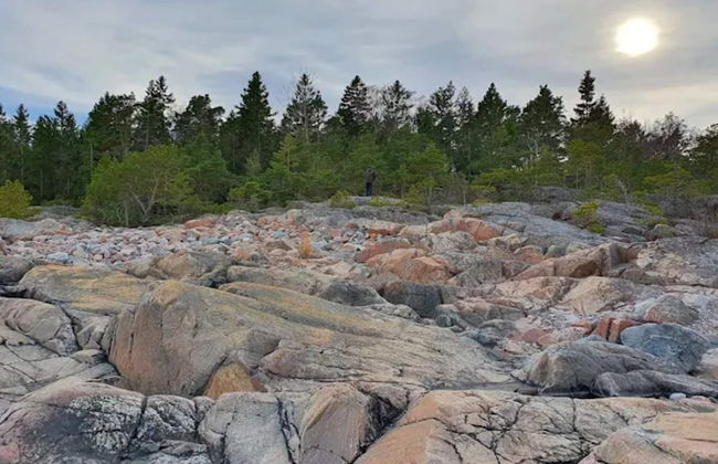 7 Person Holiday Home in Grisslehamn-by Traum - Photo 13