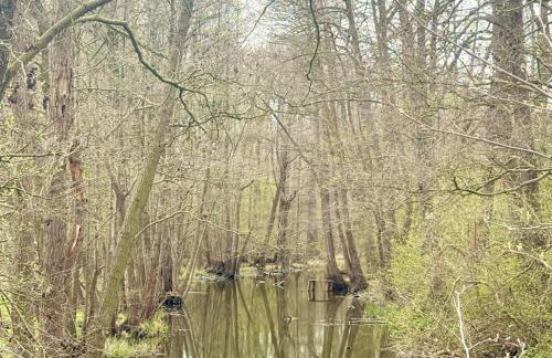 Domek nad Paklicą - Foto 22