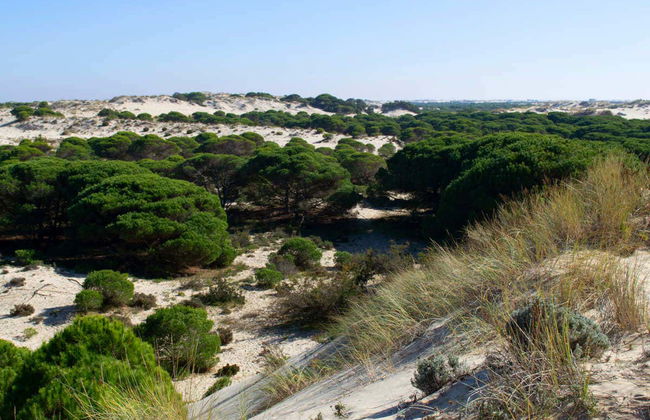 Doñana Day Trip - Foto 7