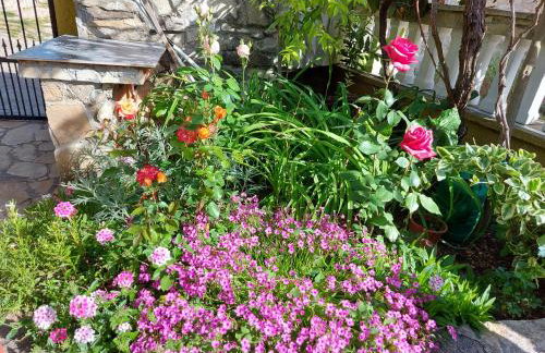 Apartment Balinovaca - Foto 42