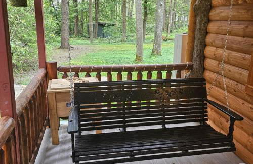 Pet Friendly Creekside Cabin Kooser St Park - Foto 44