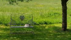 Rustico di Angelo - Foto 5