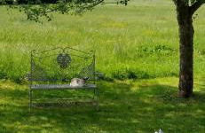 Rustico di Angelo - Foto 5