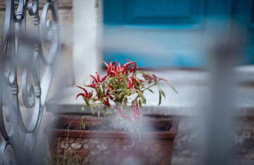 Villa Elisabetta Lago Maggiore - Foto 42