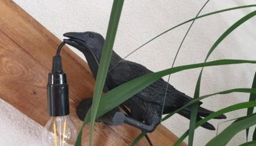 SeenSucht & Urlaubsträume, Ferienwohnung "Strand-Romantik" - Foto 3