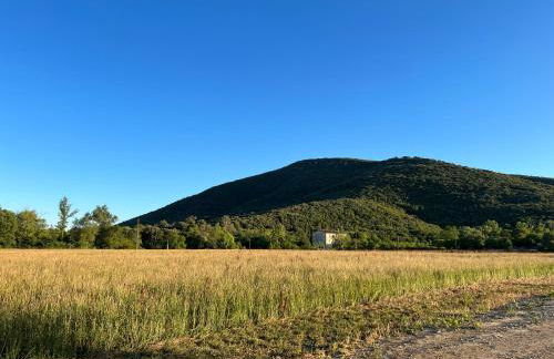 Mas Grenadine, magnifique villa du Piémont Cévenol - Photo 7