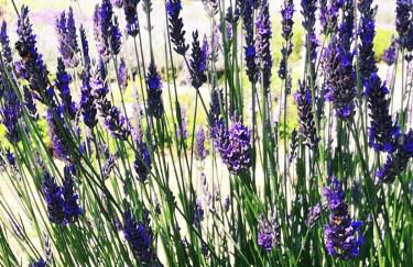 Camera con vista - Photo 29