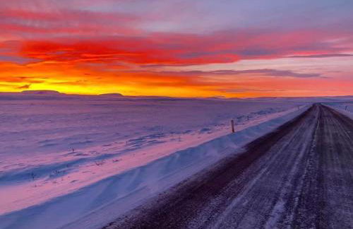 Le Nichoir - Foto 16