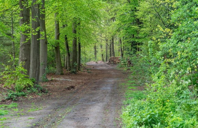 Scenic Stay Near Town & Lake - Photo 39