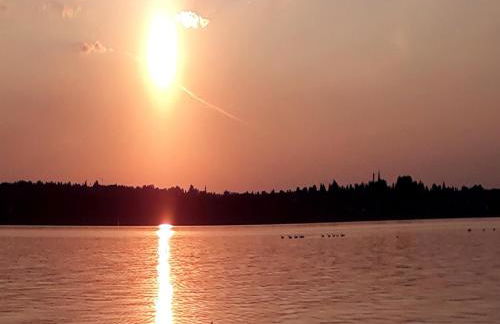 Landhof Sedlmair - Foto 20