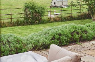 Apple Tree Cottage - Foto 45