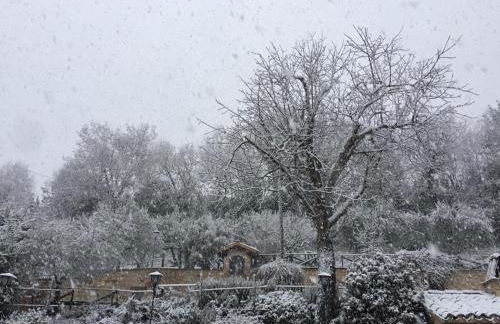 Il renaiolo - Foto 18