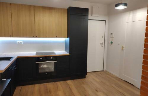 Warsaw Loft Apartment - Grill Terrace on the Roof - Foto 3