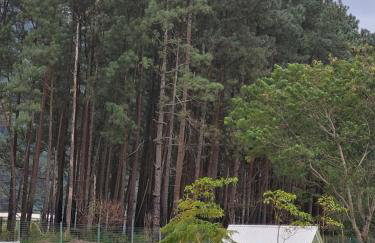 Loft Condado Bl 2 Ap 116 Aldeia dos Reis Sahy - Foto 9