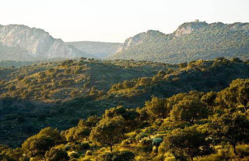 Casa Babel Monfragüe - Foto 21