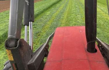 Ferien auf dem Eliesenhof - Foto 28