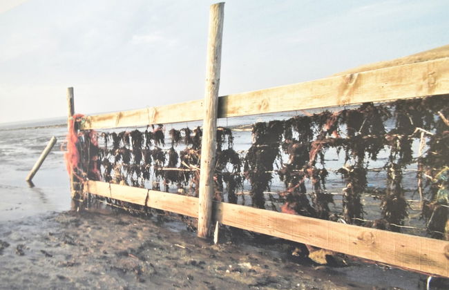 Villa in Friesland Near Wadden Coast - Foto 25