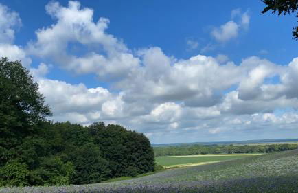 FeWo Hasen Suite - Foto 9