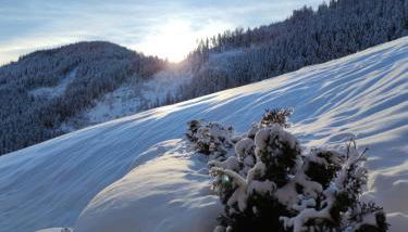 Batacör - Natures Heartbeat - Foto 3