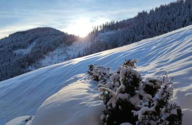 Batacör - Natures Heartbeat - Foto 3