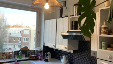 Le tournesol - Foto 3