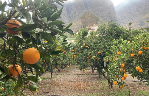 Casa Camino Tamadaba II (bottom home) - Foto 43