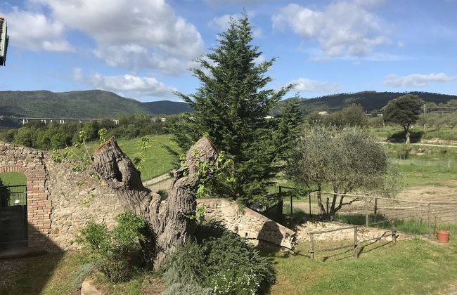 Fattoria Il Santo - Foto 38