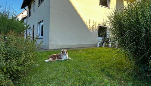 Ferienwohnung am Romberg - Foto 2, Garden, Garden view