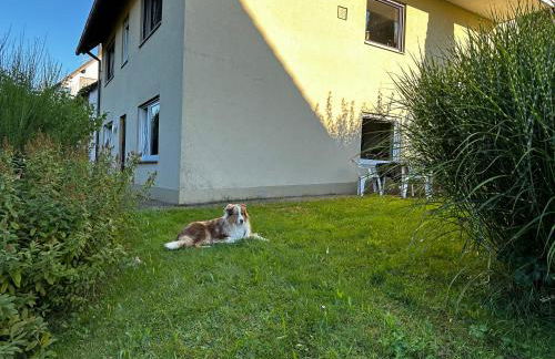 Ferienwohnung am Romberg - Foto 2