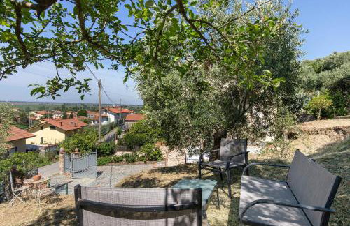 La Dolce Vita - Foto 11