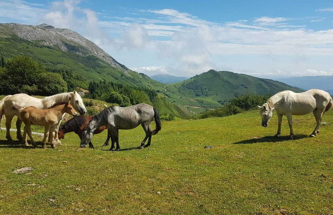 Alojamientos Rurales Valle de Bueida - Foto 65
